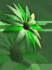 anim240320mobildesign.atw.hu_0111.gif